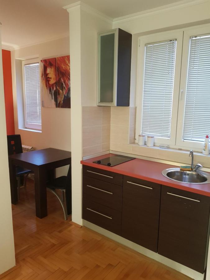 Rajiceva 5- Apartman Sa Prostranom Terasom I Garaznim Mestom Kragujevac Kültér fotó
