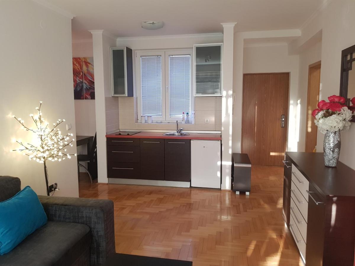 Rajiceva 5- Apartman Sa Prostranom Terasom I Garaznim Mestom Kragujevac Kültér fotó